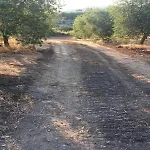 Tra Gli Ulivi By Elba Holidays בית נופש *